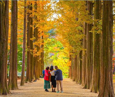 杭州道路養護之市政公司的黃金施工季 秋季.jpg